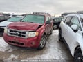 Photo 2 of 11 — 2008 Ford Ford