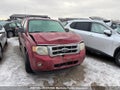 Photo 6 of 11 — 2008 Ford Ford