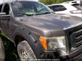 2010 Ford F-150 — photo 1 of 10 | VIN 1FTEW1E80AFA05125