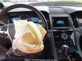 Photo 7 of 18 — 2018 Ford Taurus