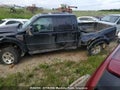Photo 12 of 12 — 2009 Ford F-250