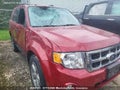 Photo 6 of 11 — 2010 Ford Escape