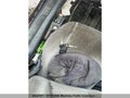 Photo 7 of 7 — 2000 Honda Civic