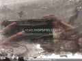 Photo 10 of 17 — 2023 Jeep Wagoneer