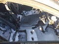 Photo 5 of 19 — 2017 Hyundai Elantra