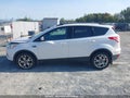 Photo 15 of 18 — 2014 Ford Escape