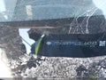 Photo 19 of 19 — 2020 Toyota Prius