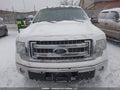 Photo 12 of 17 — 2014 Ford F-150