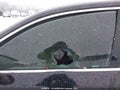 Photo 18 of 18 — 2016 Volkswagen Passat