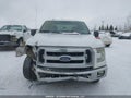 Photo 12 of 18 — 2015 Ford F-150
