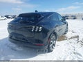 Photo 4 of 19 — 2022 Ford Mustang Mach-E
