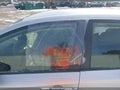 Photo 20 of 20 — 2023 Toyota Corolla