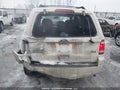 Photo 17 of 17 — 2010 Ford Escape