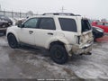 Photo 3 of 17 — 2010 Ford Escape