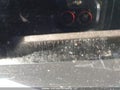 Photo 19 of 21 — 2014 Kia Forte