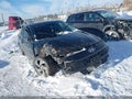 Photo 1 of 16 — 2024 Hyundai Elantra