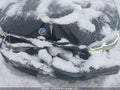 Photo 6 of 18 — 2019 BMW M850i xDrive