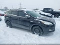 Photo 13 of 16 — 2013 Ford Escape