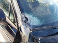 Photo 12 of 23 — 2024 Volkswagen Tiguan