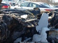 Photo 14 of 16 — 2013 BMW X5