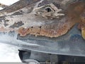 Photo 17 of 20 — 2025 Infiniti QX50