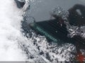 Photo 19 of 19 — 2018 Honda Accord