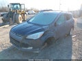 Photo 2 of 17 — 2016 Ford Escape