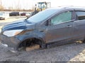 Photo 6 of 17 — 2016 Ford Escape