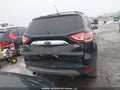 Photo 15 of 15 — 2013 Ford Escape