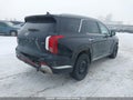 Photo 4 of 21 — 2024 Hyundai Palisade