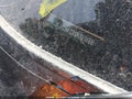 Photo 17 of 17 — 2025 Subaru Crosstrek