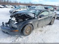 Photo 2 of 19 — 2009 Ford Mustang