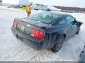 Photo 4 of 19 — 2009 Ford Mustang