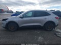 Photo 15 of 18 — 2020 Ford Escape