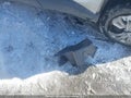 Photo 12 of 20 — 2021 Toyota C-HR