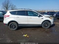Photo 13 of 17 — 2013 Ford Escape