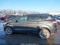 Photo 15 of 19 — 2017 Ford Escape