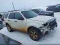 Photo 13 of 18 — 2010 Ford Escape