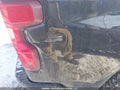 Photo 20 of 21 — 2022 Chevrolet Silverado 1500