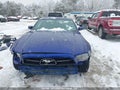 Photo 13 of 20 — 2013 Ford Mustang