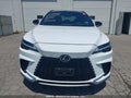 Photo 12 of 16 — 2024 Lexus RX 350