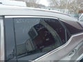 Photo 20 of 20 — 2021 Lexus RX 350