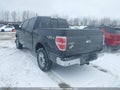 Photo 3 of 17 — 2009 Ford F-150 Lightning