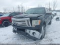 Photo 6 of 17 — 2009 Ford F-150 Lightning