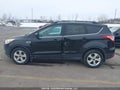 Photo 14 of 21 — 2015 Ford Escape
