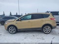 Photo 14 of 16 — 2014 Ford Escape
