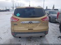 Photo 16 of 16 — 2014 Ford Escape