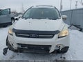 Photo 13 of 22 — 2014 Ford Escape