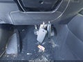 Photo 11 of 16 — 2025 Toyota Corolla