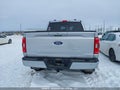 Photo 15 of 16 — 2021 Ford F-150 Lightning